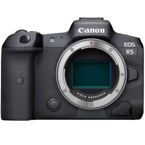 Canon EOS R5 Body (2.4GHz) with RF 100-500mm f/4.5-7.1 IS USM Lens